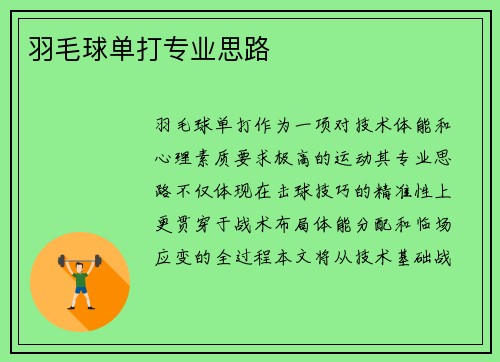 羽毛球单打专业思路