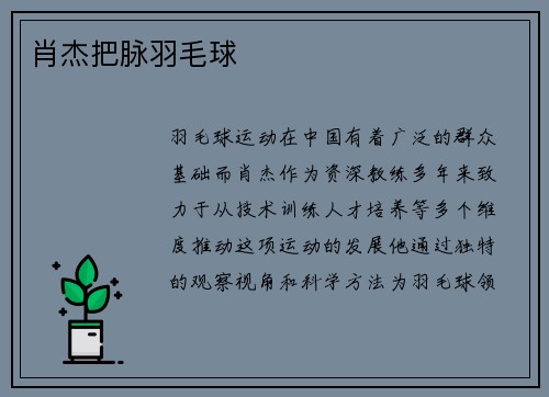 肖杰把脉羽毛球