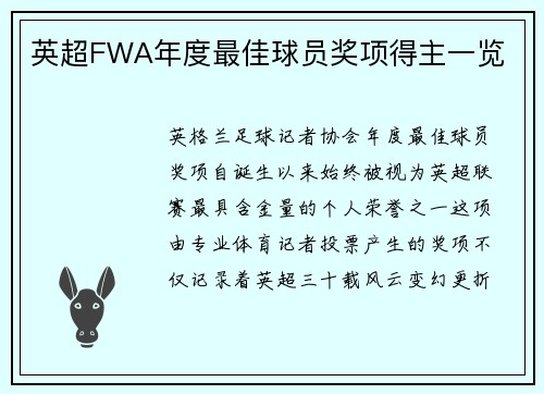 英超FWA年度最佳球员奖项得主一览